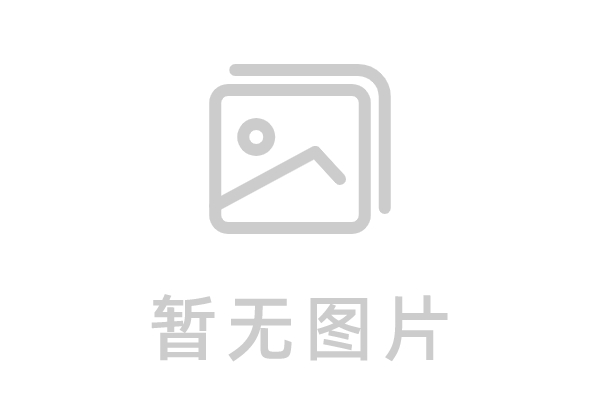 BDF食品级架空链条润滑油